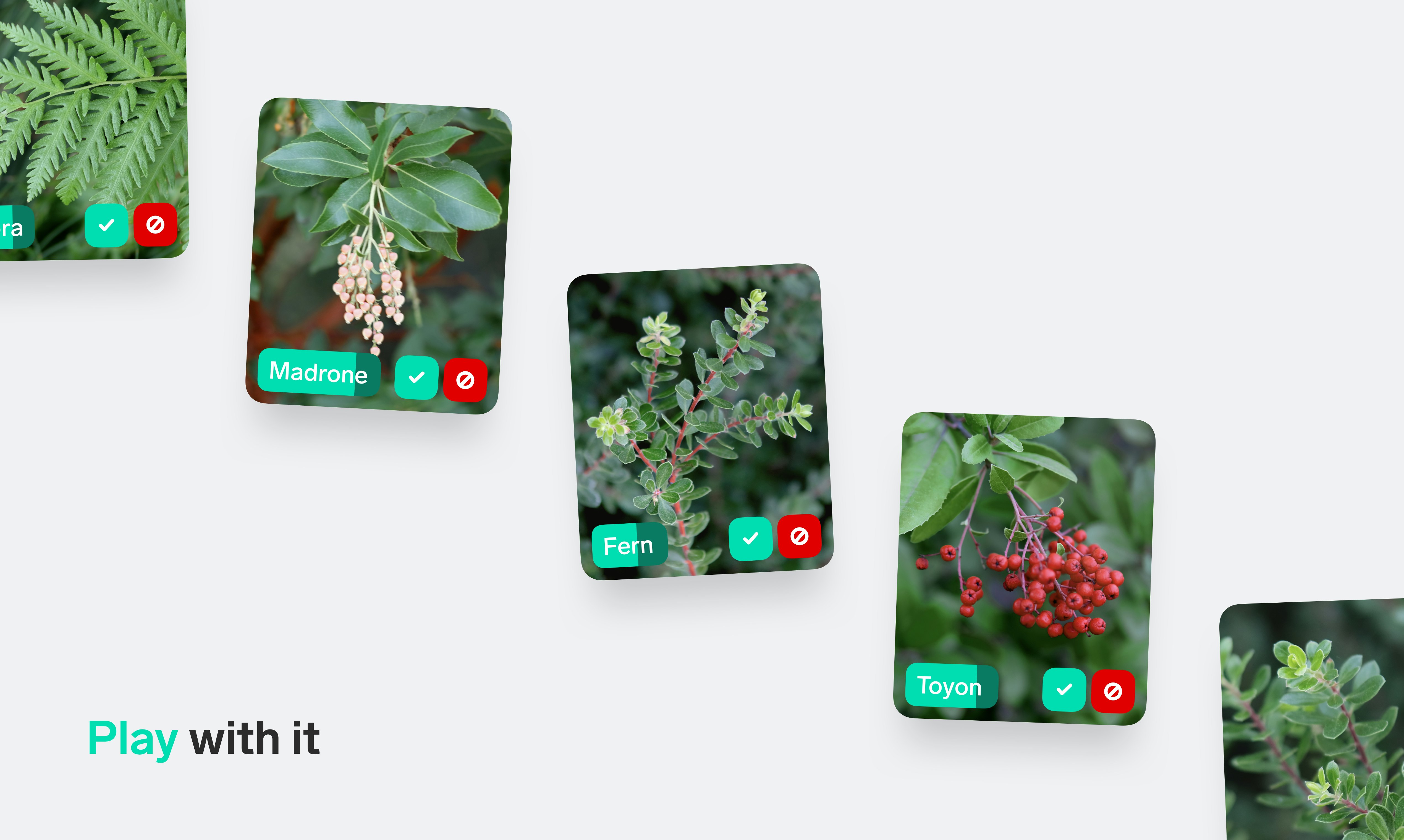 Lobe 2.0 gallery image