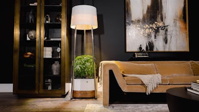 Annaboto gallery image