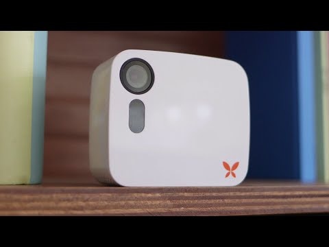 Butterfleye gallery image