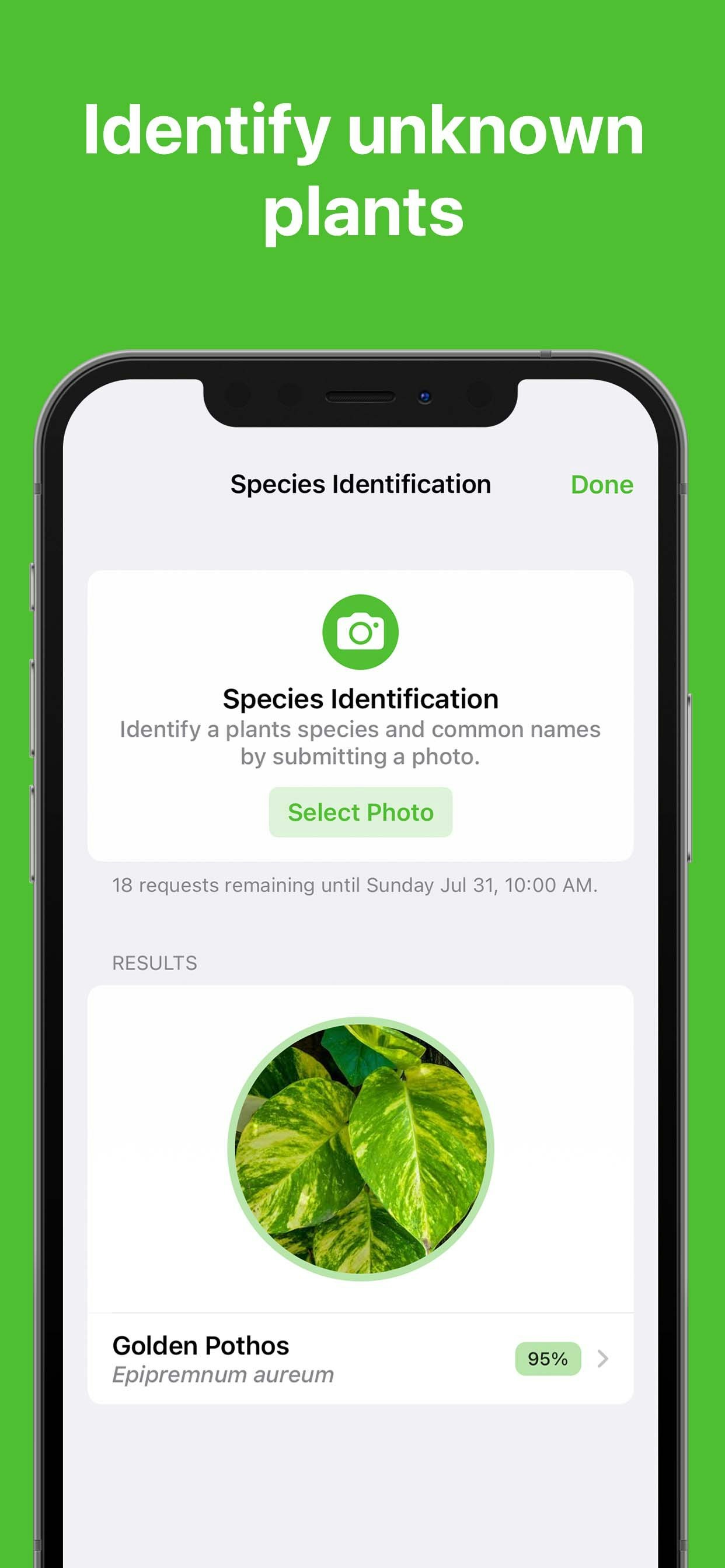Flora - Better Gardening gallery image