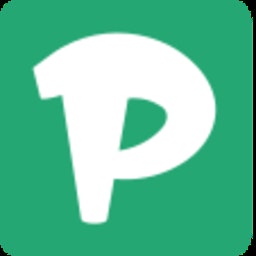 Pairdel - Product Hunt launch logo and brand identity
