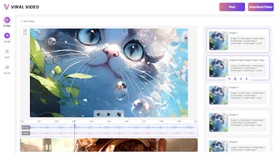 ViralVideo gallery image
