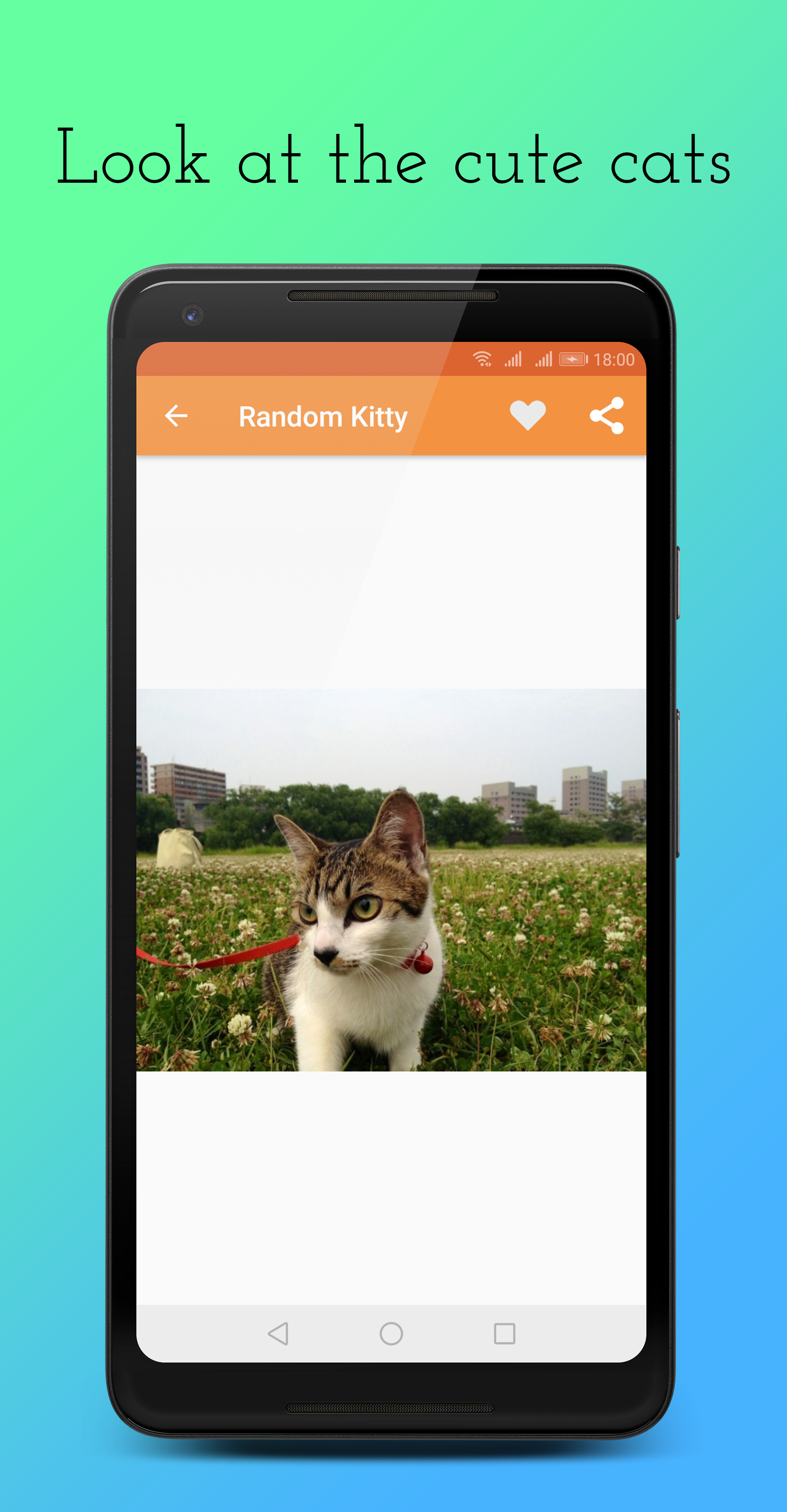 Random Kitty gallery image