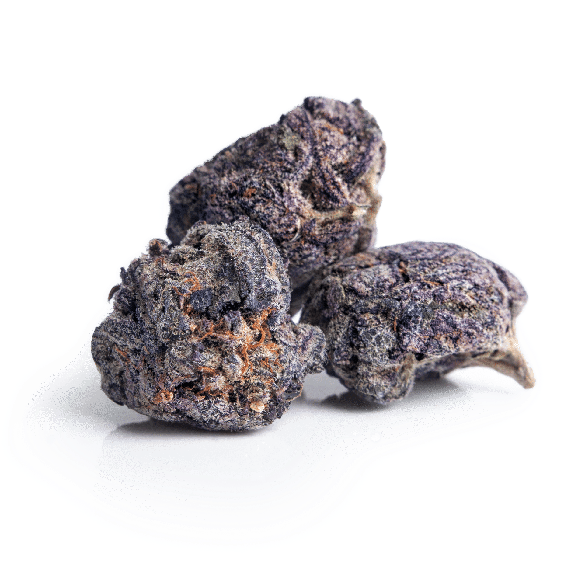 Product Photography for Amazon, Shopify gallery image