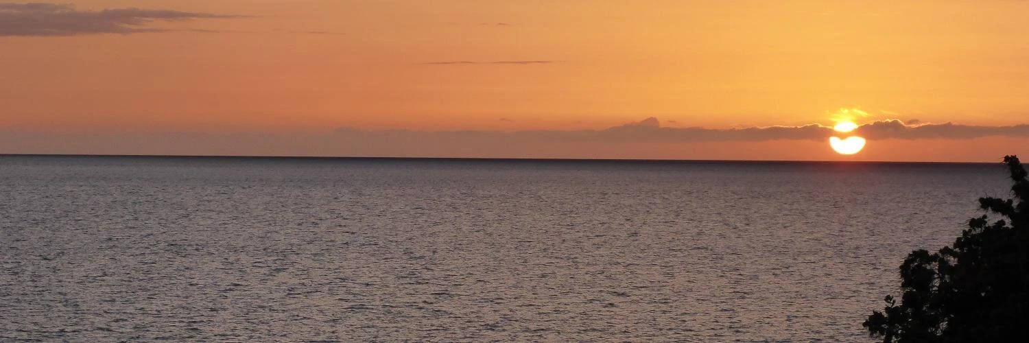 Josh Mendelsohn cover