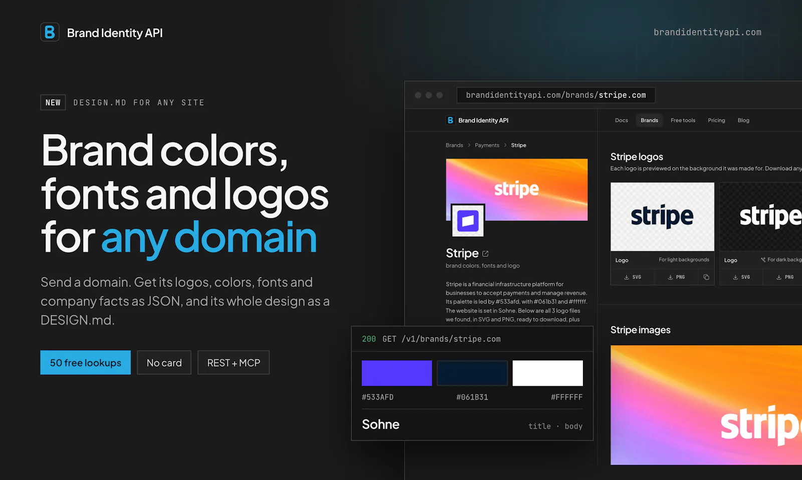 Brand Identity API screenshot 2