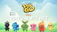 Palgo
