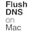 Flush DNS on Mac