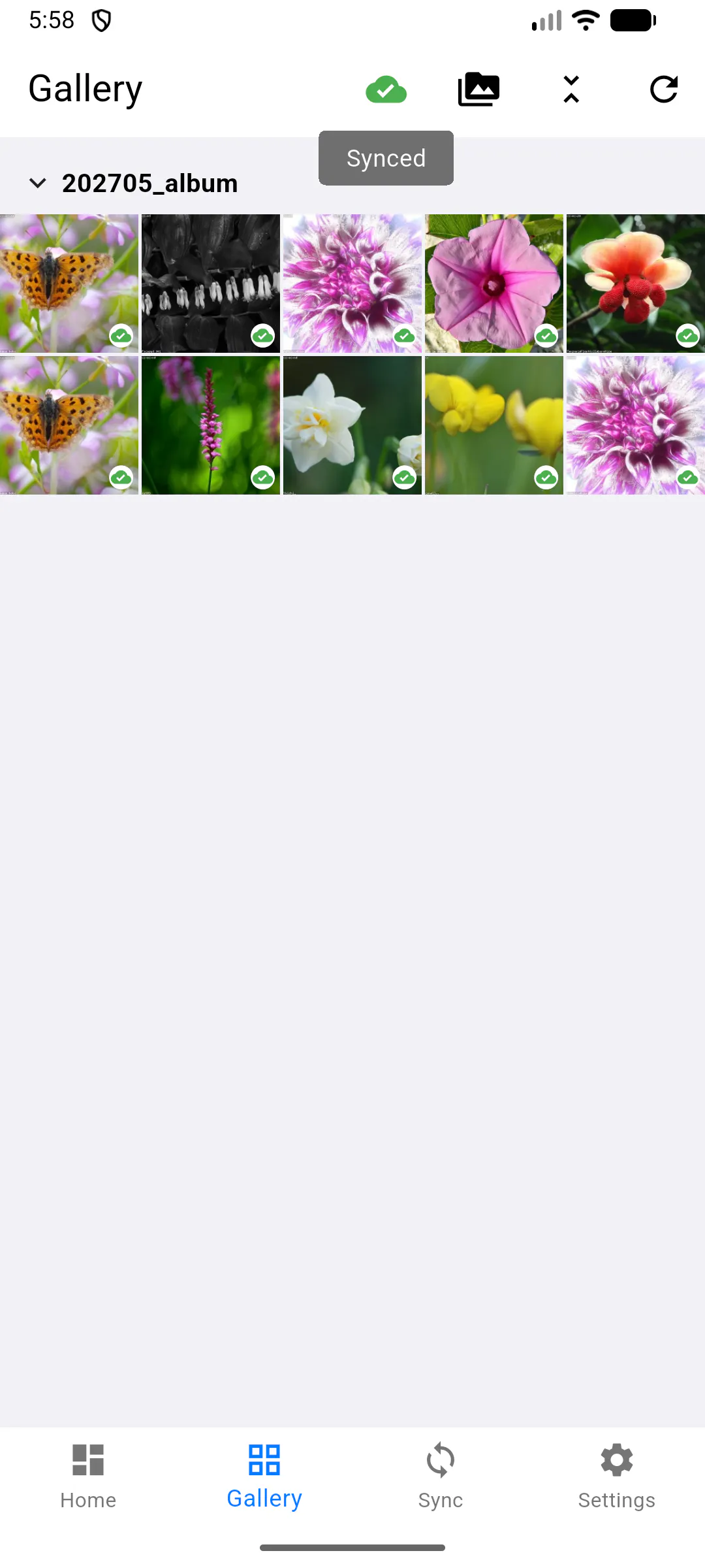 pictureMng gallery image