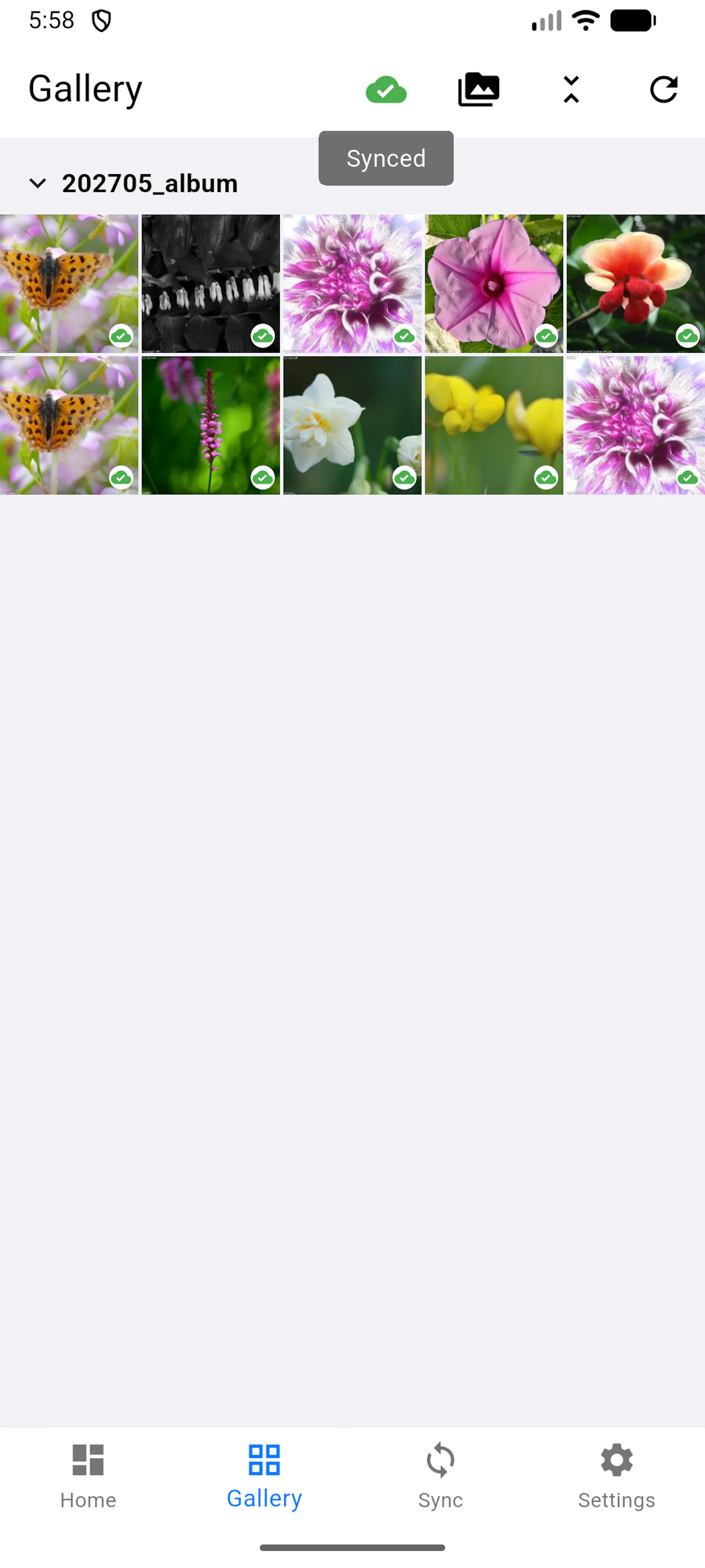 pictureMng screenshot 4