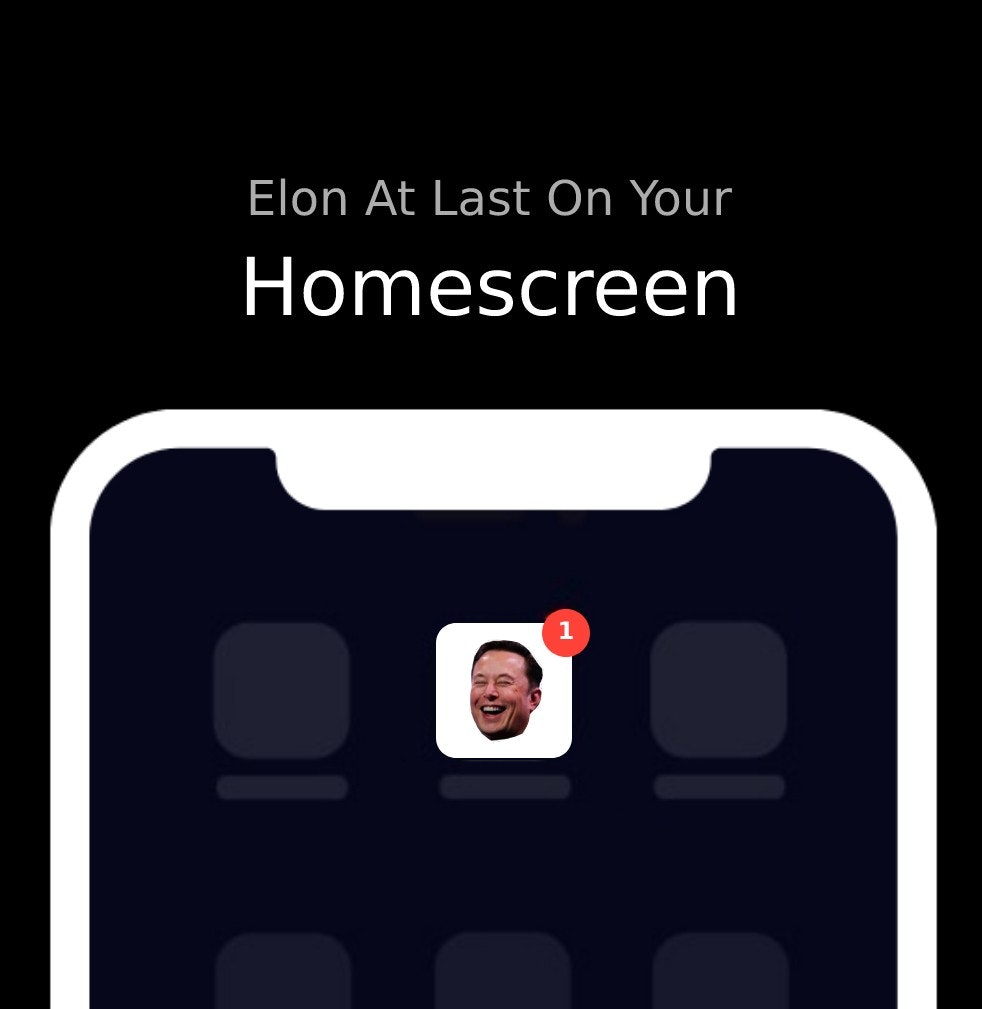 Elon's Shenanigans gallery image