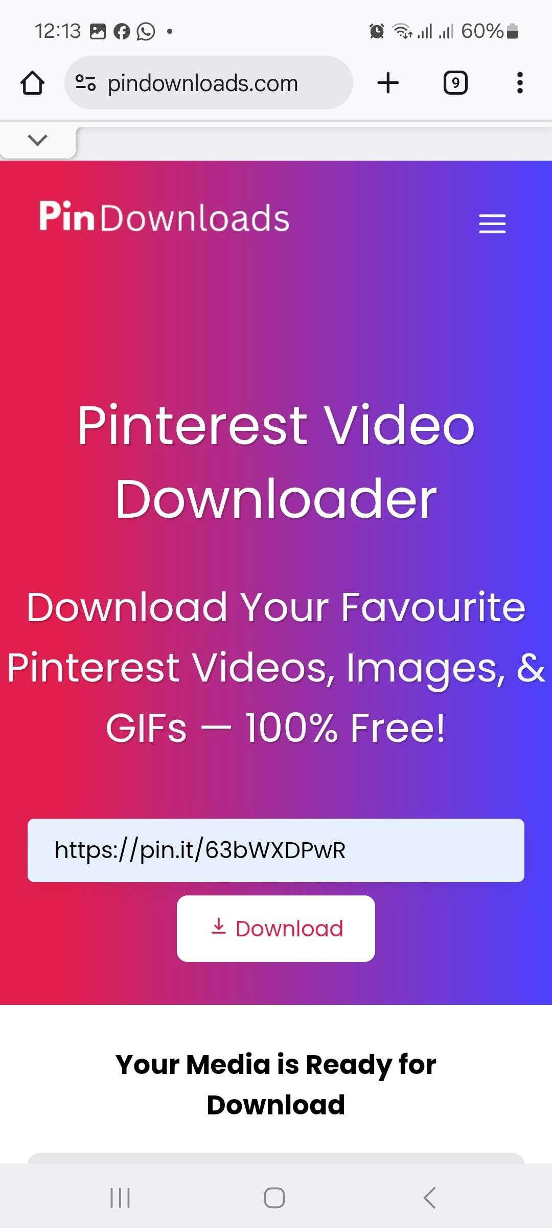 PinDownloads