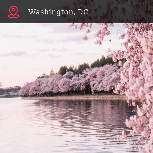 Phocale gallery image