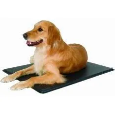 Able Pet Supplies