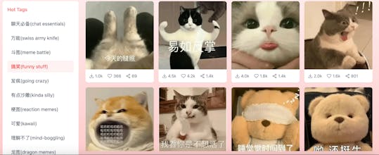 Funny Chinese Memes gallery image