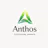 Anthos Adaptive Learning