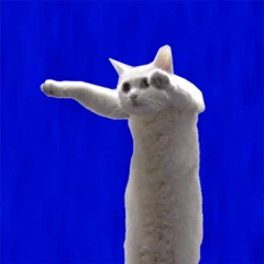 longARcat App
