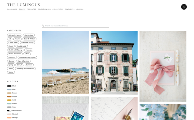 We Are The Luminous gallery image