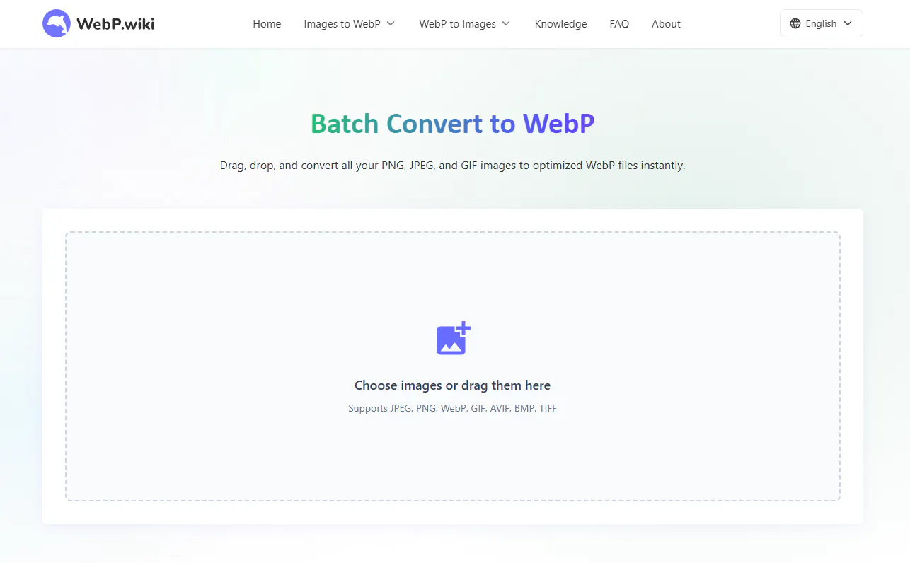 webp.wiki gallery image