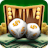 Backgammon Cash