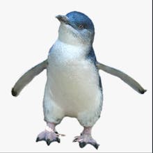 ObjectCut gallery image