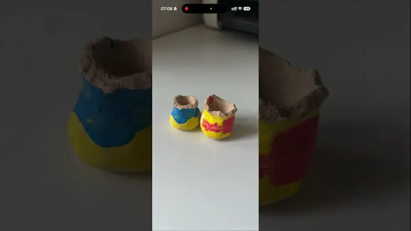 FridgePeta screenshot 1 (video preview)