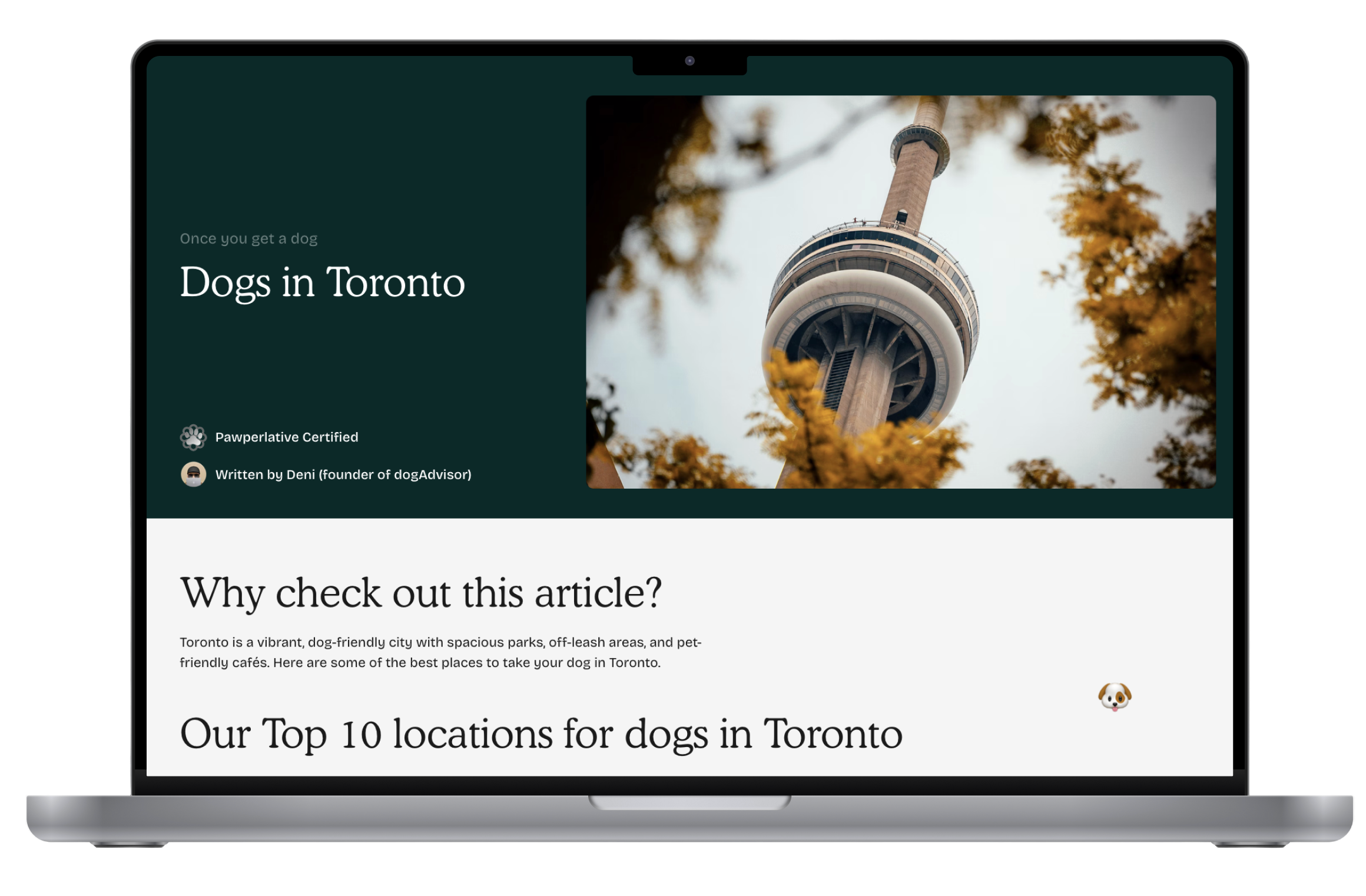dogadvisor - 🐶 Rendere il possesso di un cane facile come amorevole media 2