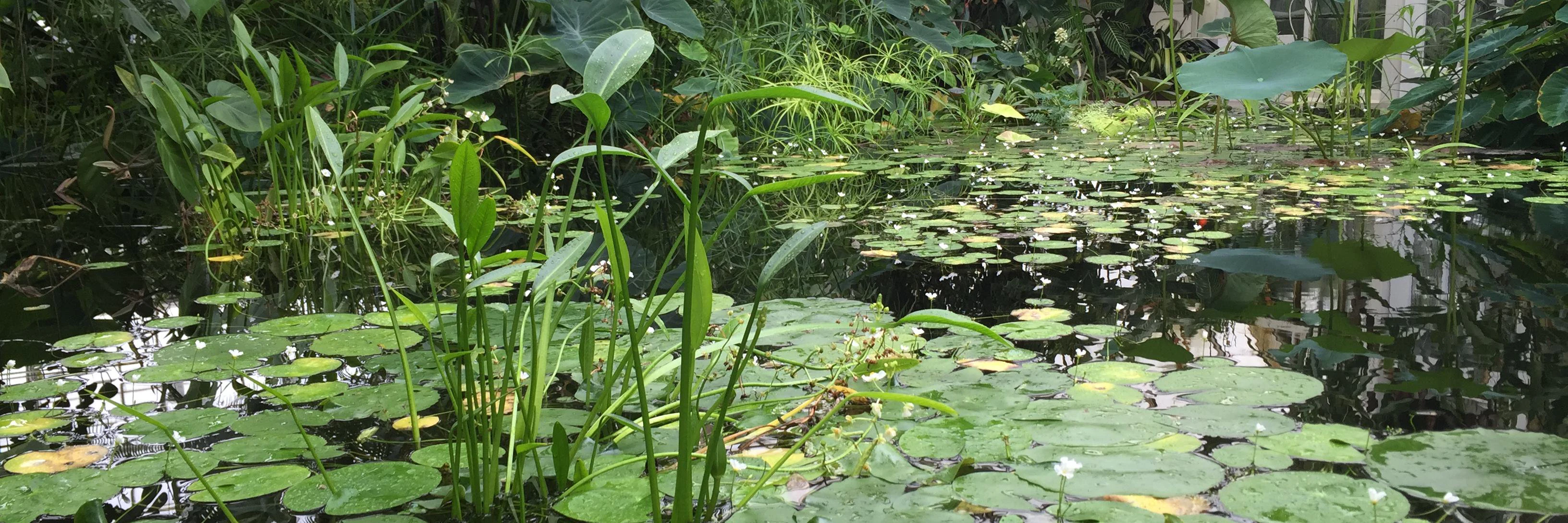 Nathan Wienert cover