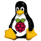 Raspberry Pi OS