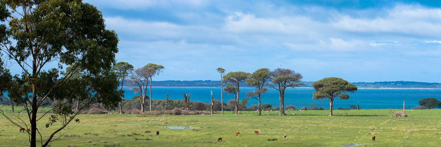 Stefan Von Imhof cover