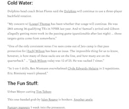 The Fantasy Football Newsletter gallery image