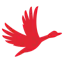 Raceduck
