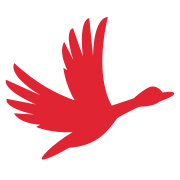 Raceduck - Product Hunt launch logo and brand identity