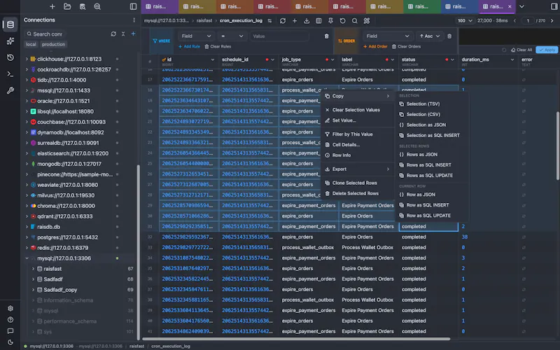 RaisDB screenshot 2