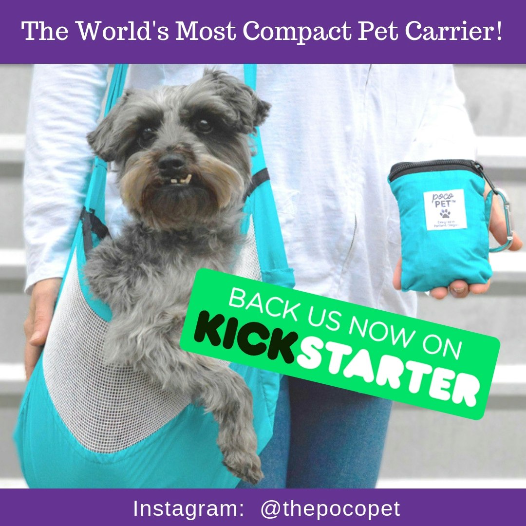 The PocoPet gallery image