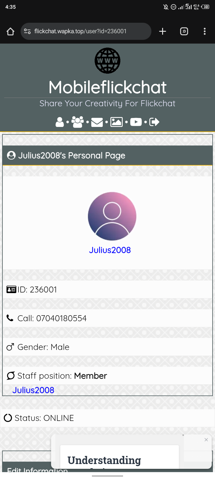 Mobile Version OF Flickchat gallery image