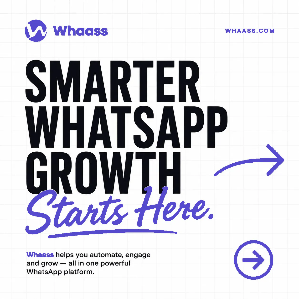 WHAASS gallery image