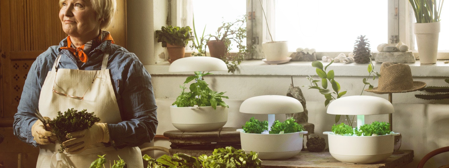 Plantui gallery image