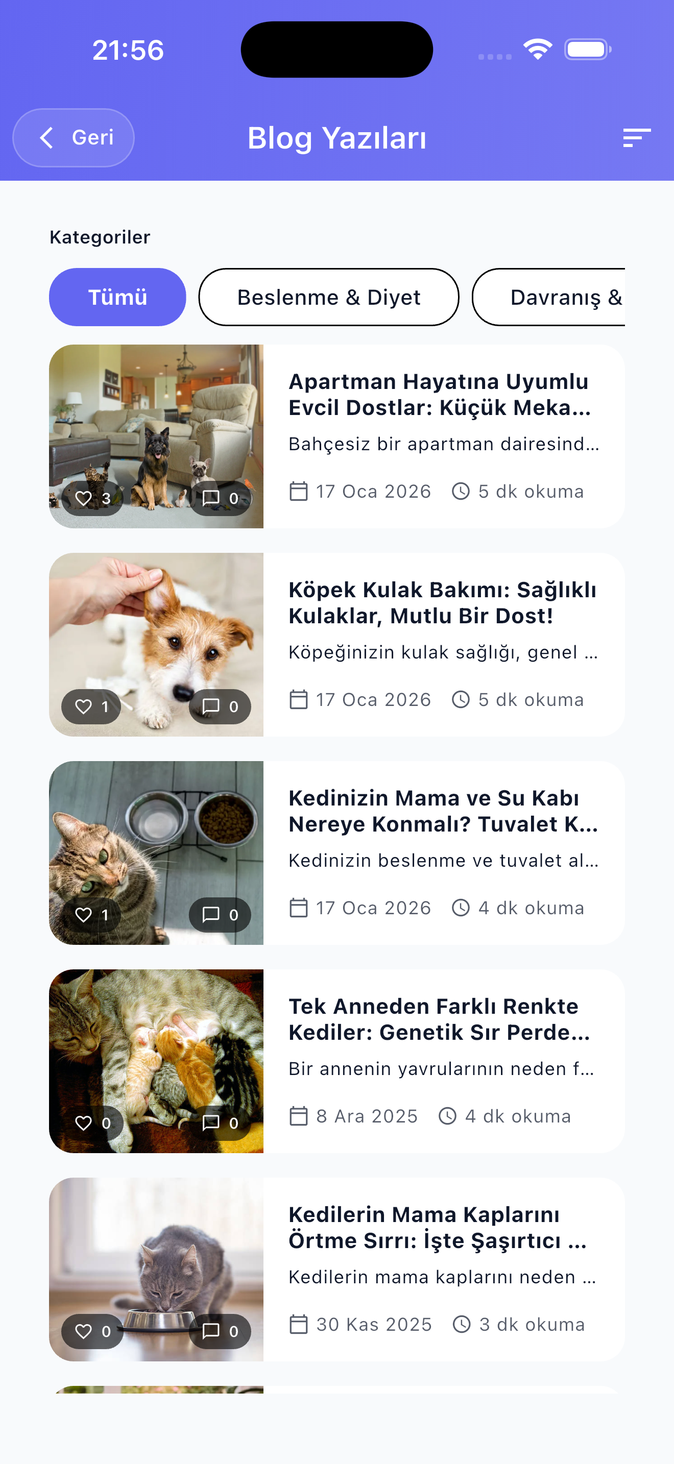 Can Dostun gallery image