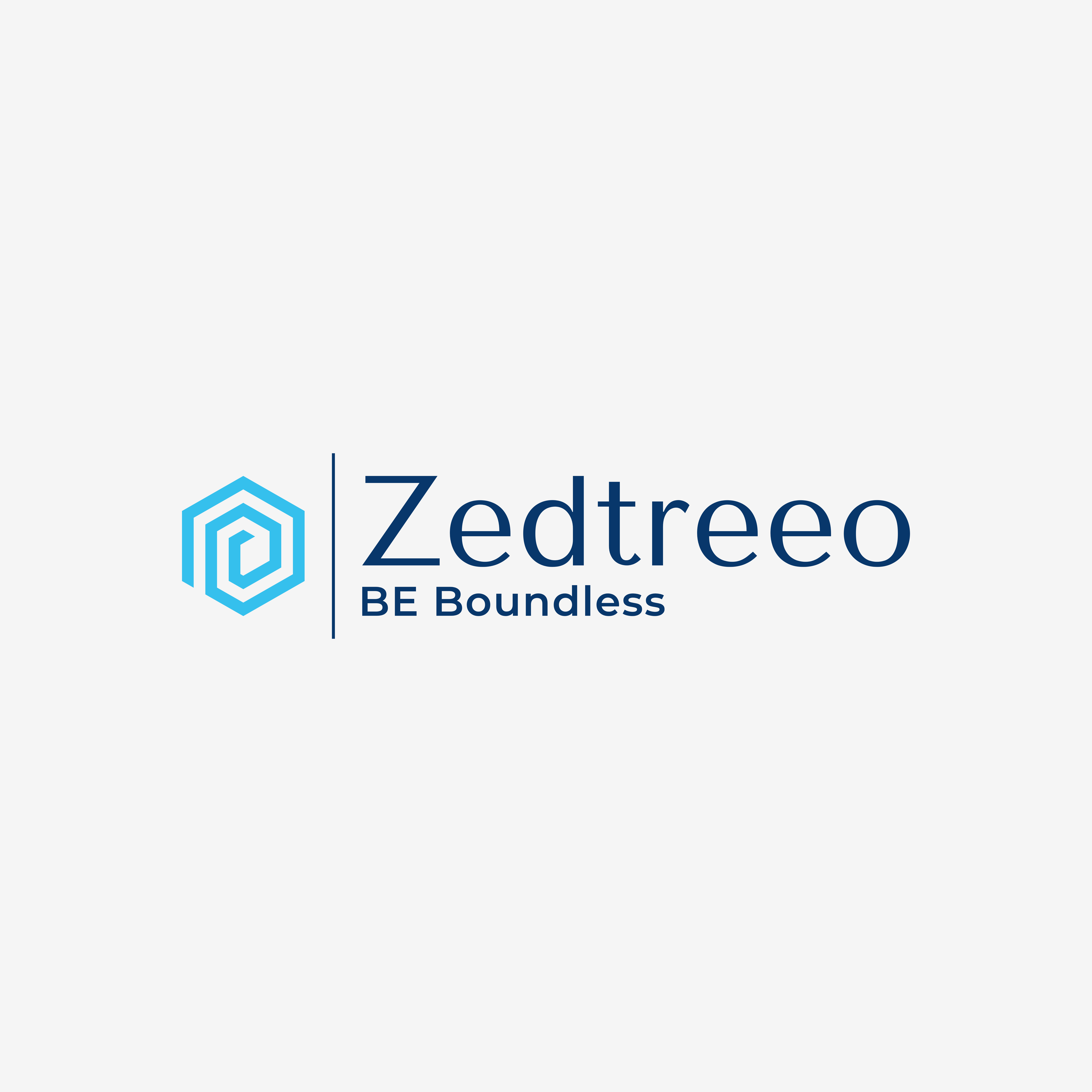 Zedtreeo Remote Staffing