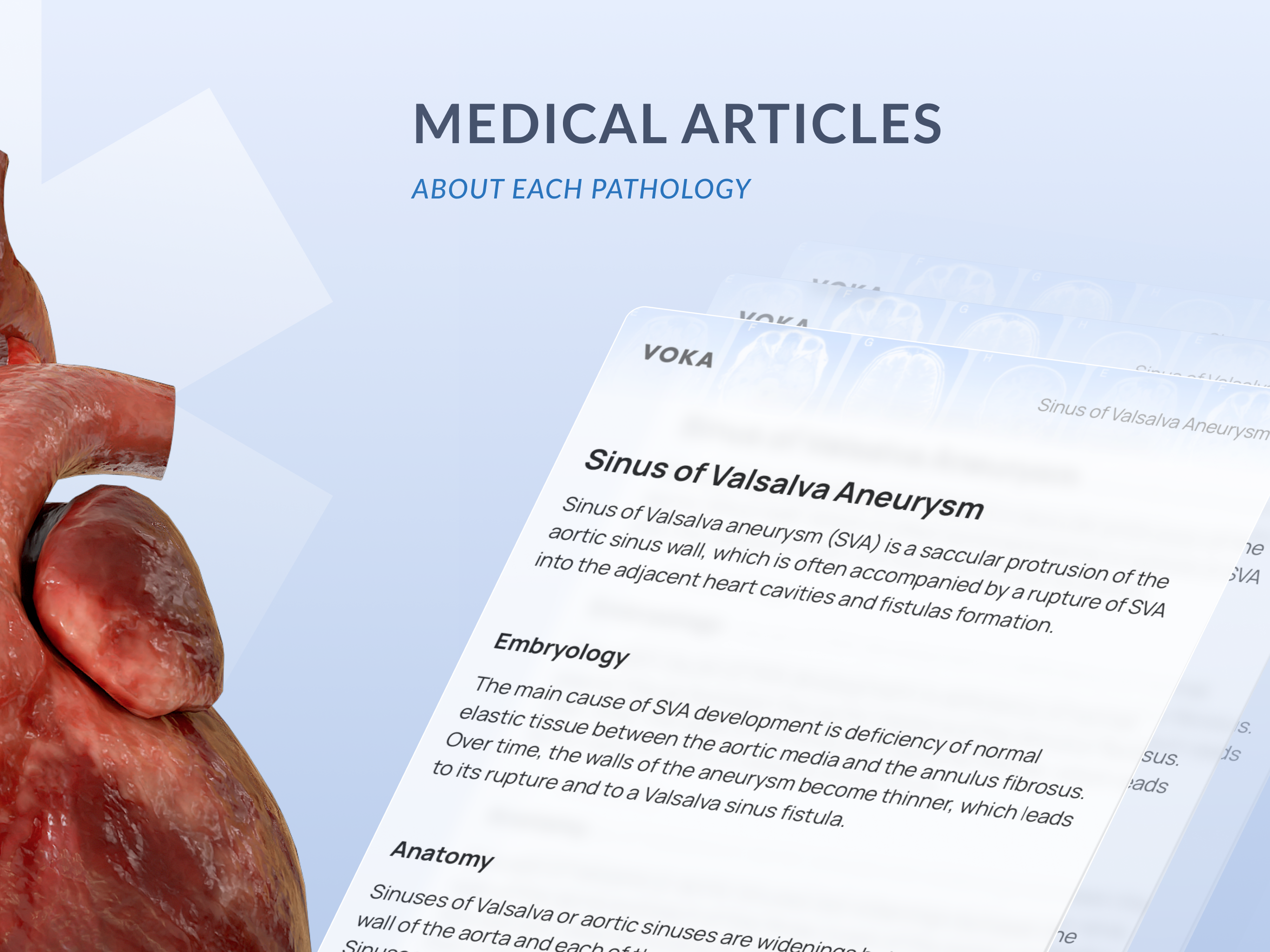 Media Voca Anatomy Pro 6