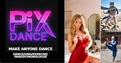 PixDance gallery image