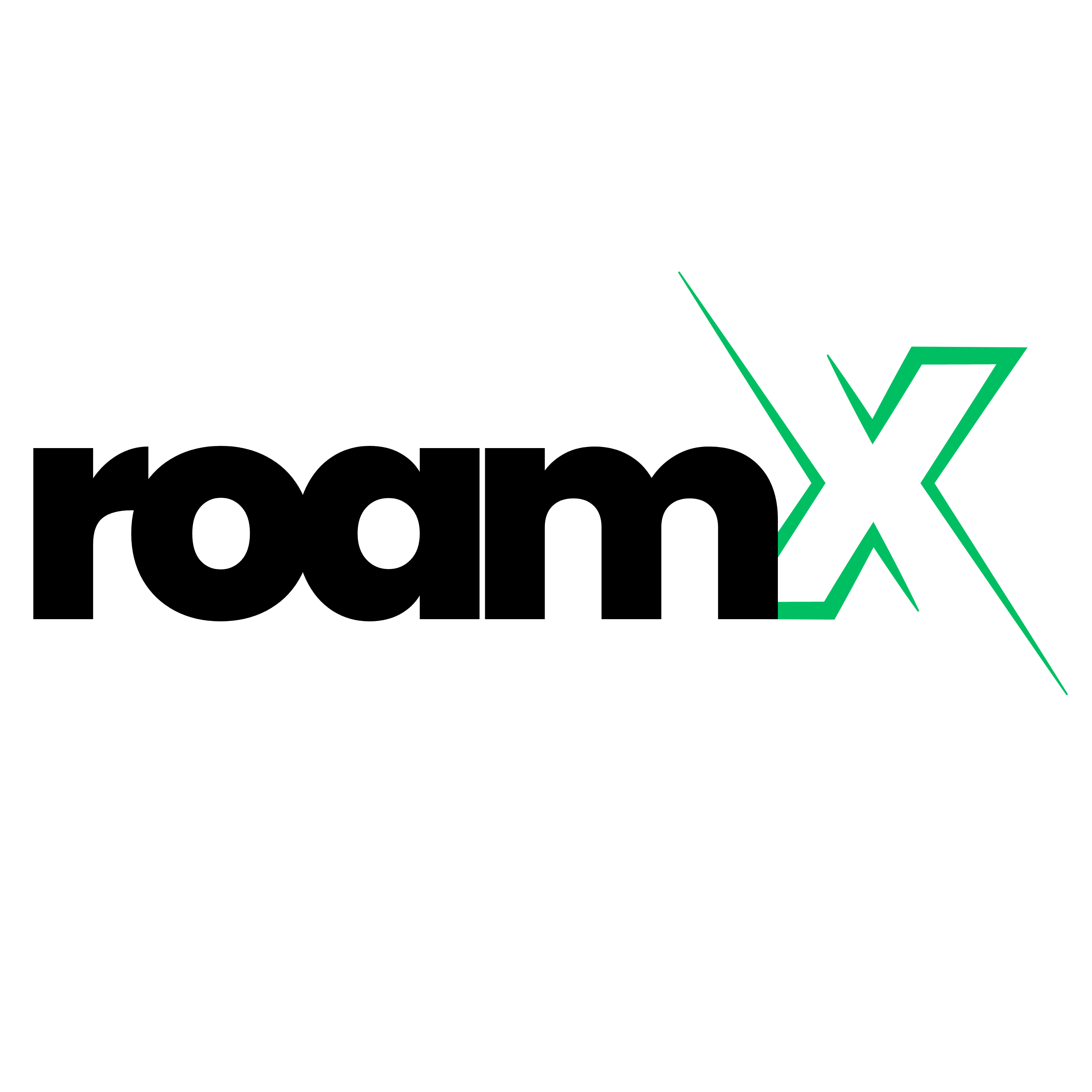 RoamX logo