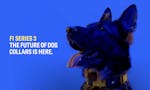 Fi Series 3 Smart Dog Collar image