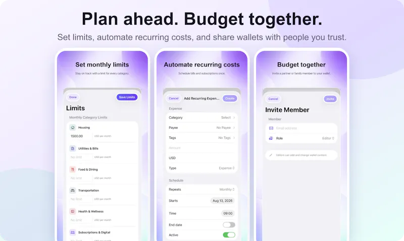 BudgetPeasy screenshot 3
