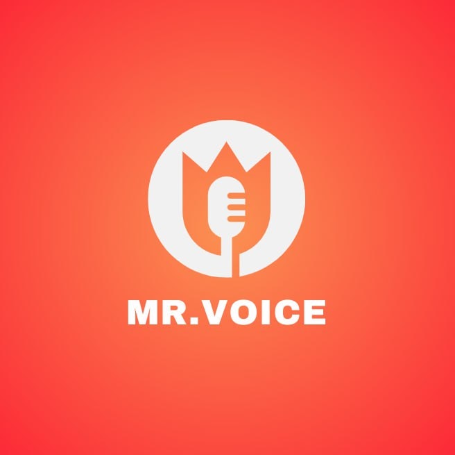 Mr. Voice Bot