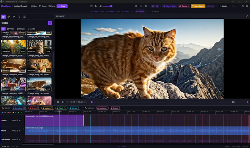 MadSync - Music Video Editor screenshot 10