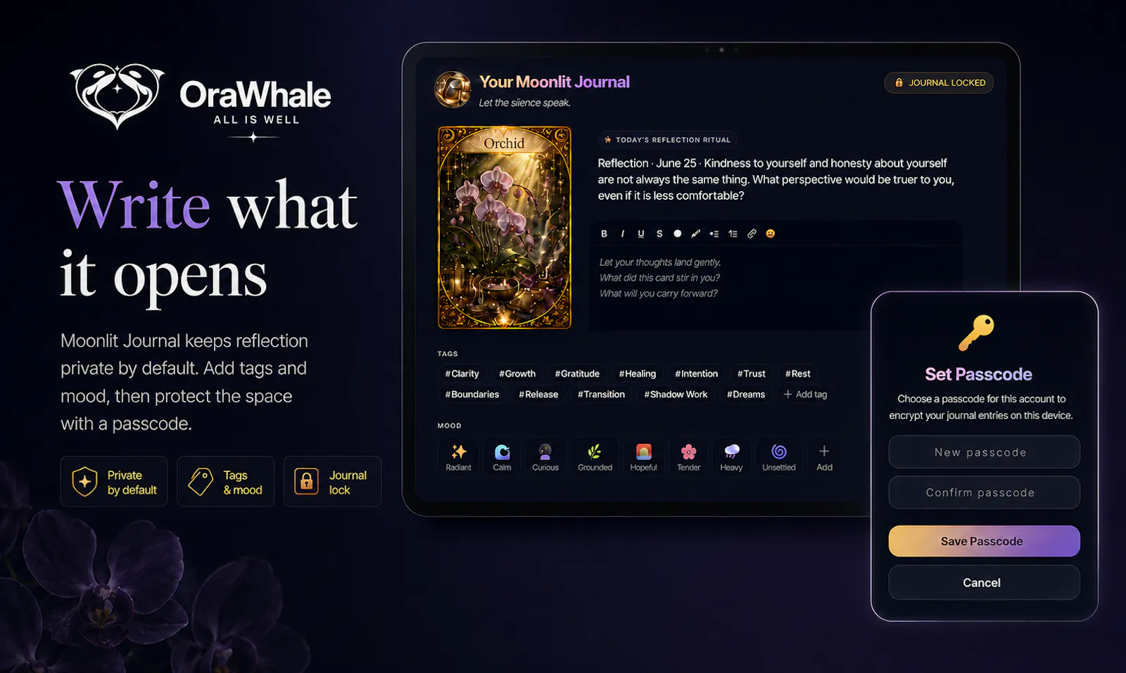 OraWhale screenshot 5