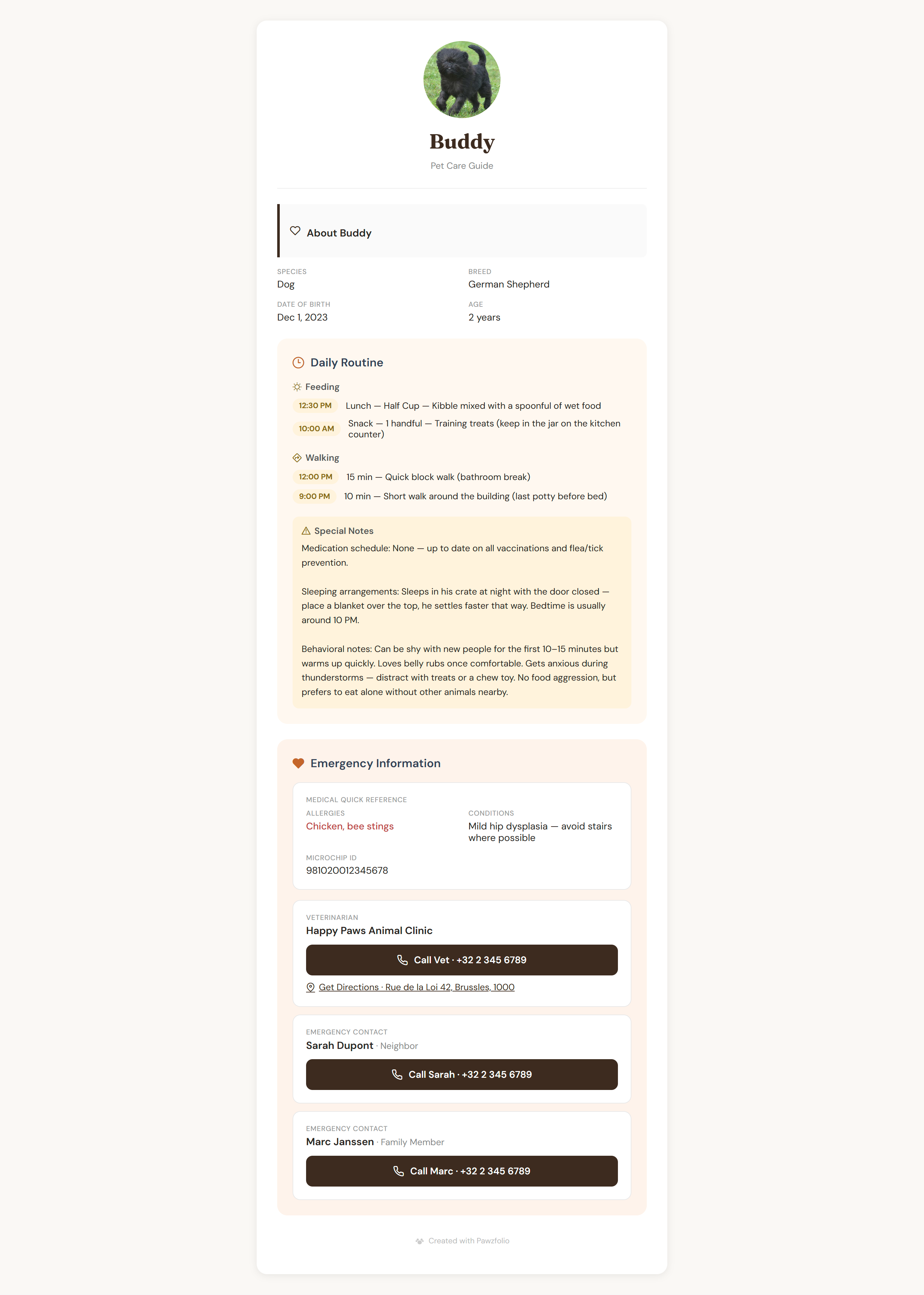 Pawzfolio gallery image