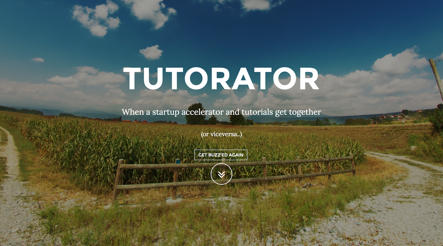 Buzztelling gallery image